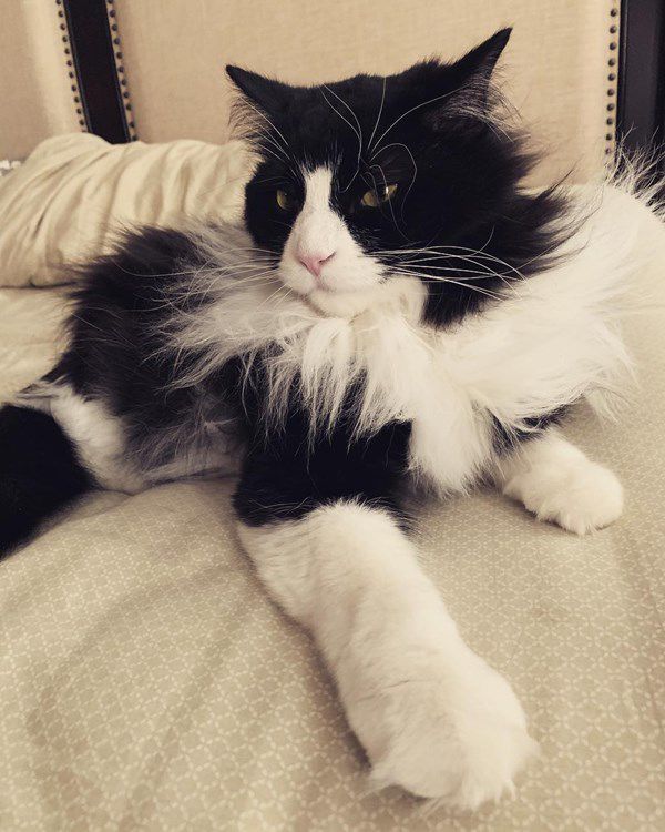 Tux